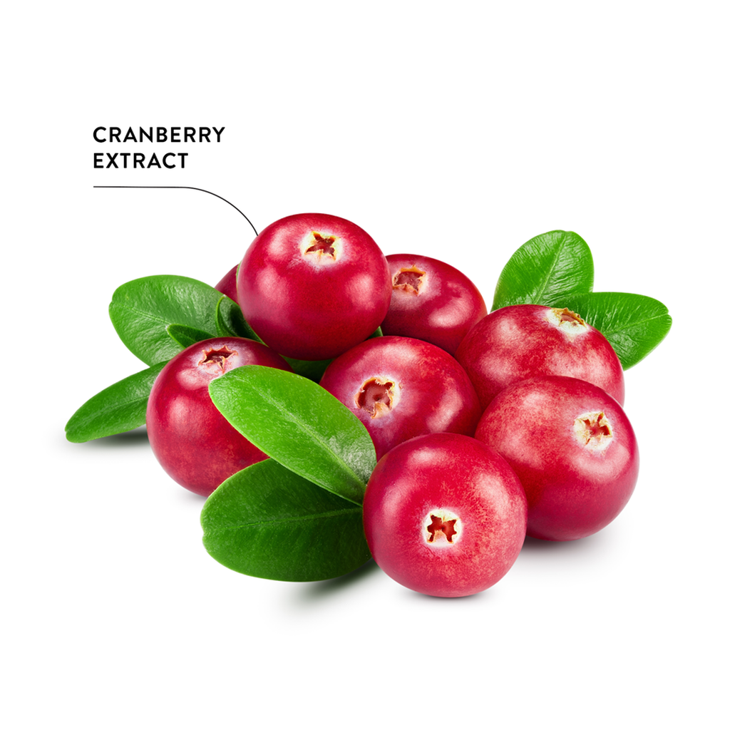 ECODENTA Refreshing Tandpasta met Cranberry